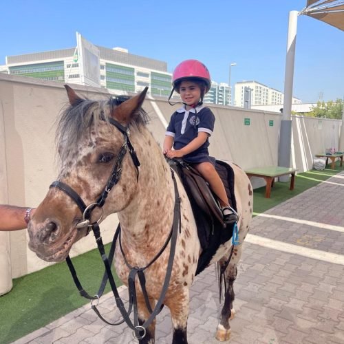 856346e4-e111-41dd-ac16-9a64a04c0739