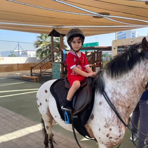 d15c0ad3-4603-43bd-8314-9e1c3b59a620